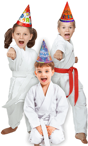 Martial Arts Birthday Party for Kids in Ault CO - Birthday Punches Page Banner